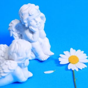 ピュアリ